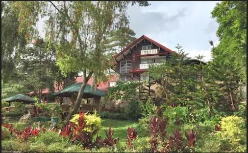 Log Cabin Hotel - Safari Lodge Baguio Baguio City Buitenkant foto