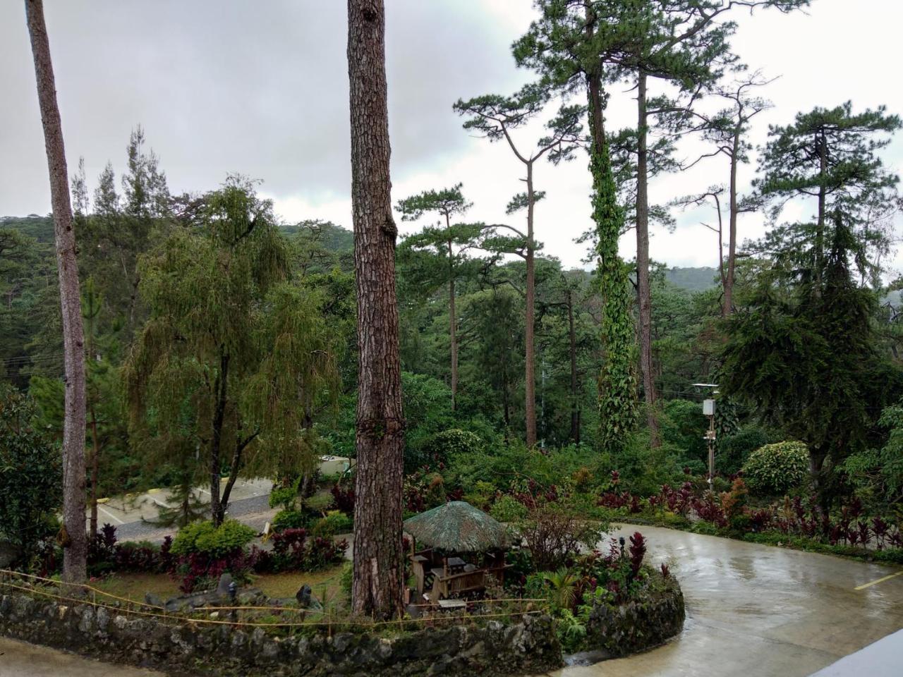 Log Cabin Hotel - Safari Lodge Baguio Baguio City Buitenkant foto
