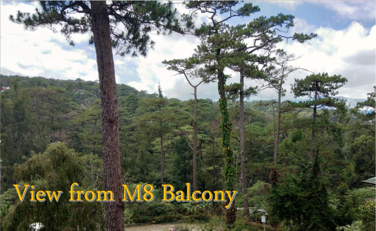 Log Cabin Hotel - Safari Lodge Baguio Baguio City Buitenkant foto