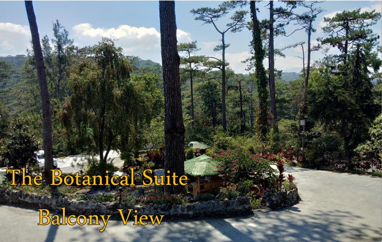 Log Cabin Hotel - Safari Lodge Baguio Baguio City Buitenkant foto